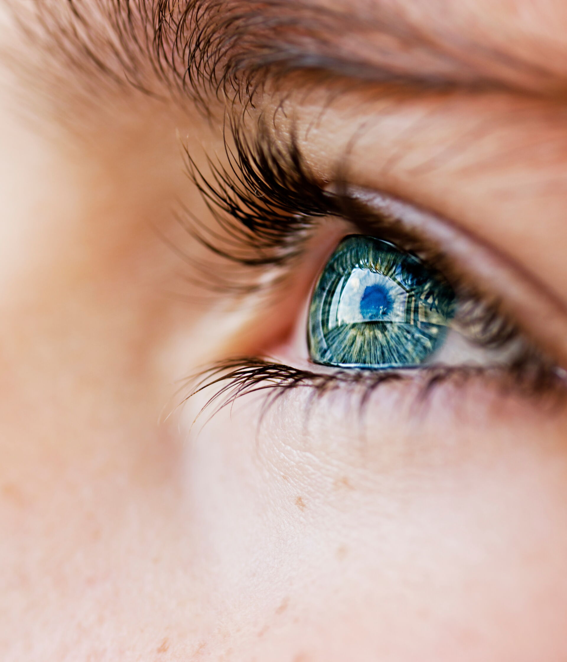 Augenpflege‑Kosmetikbehandlung mit Wimpern und Augenbrauenbetonung